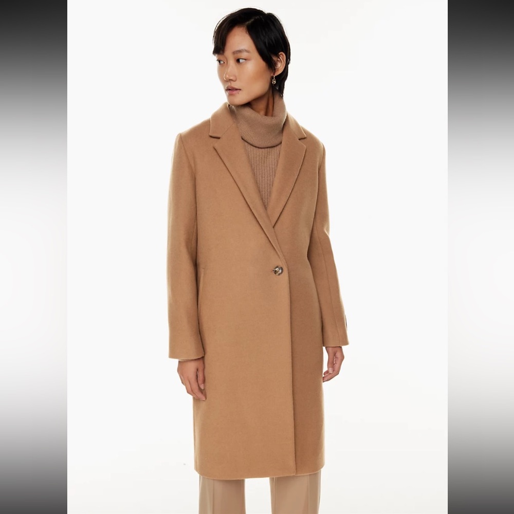 Aritzia Stedman Coat - Saville